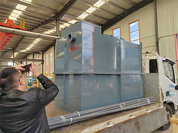 一體化預(yù)消毒池 一體化預消毒池